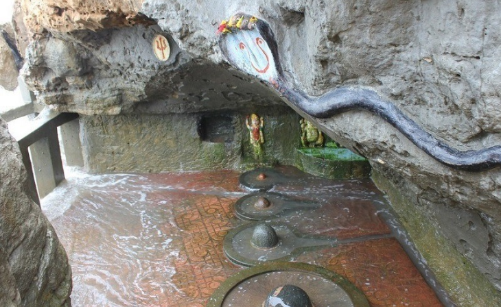 Gujarat's Wildlife & Beaches